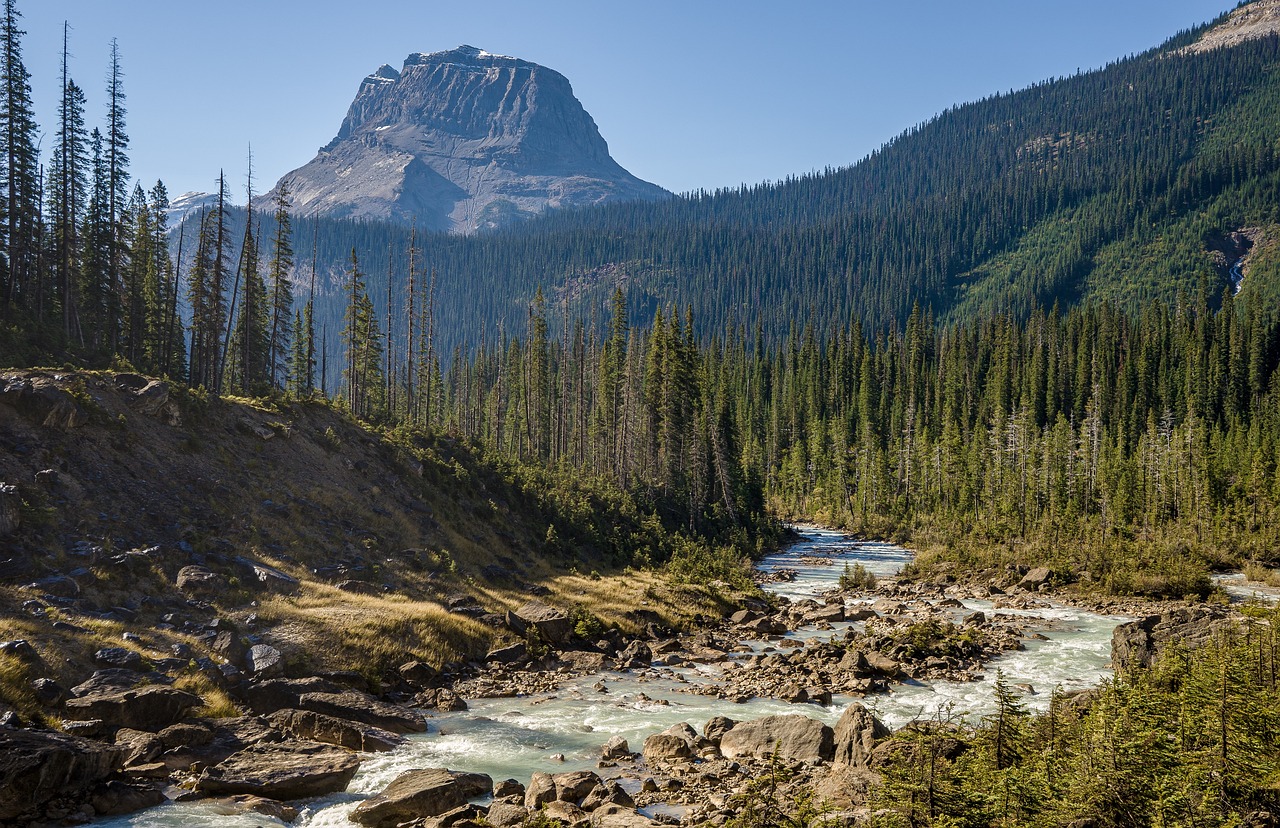 A Guide to Scenic Drives in the Canadian Rockies